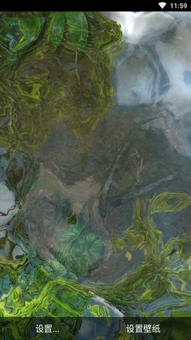 3d鱼池动态壁纸